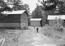 Tobacco barns on the Stone place, Upchurch, North Carolina, 1939. Creator: Dorothea Lange