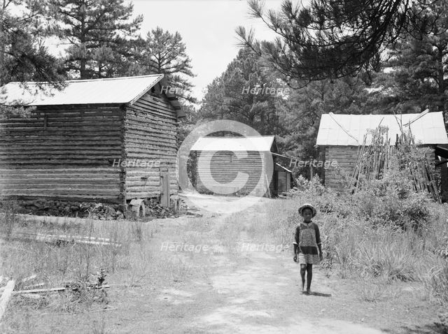 Tobacco barns on the Stone place, Upchurch, North Carolina, 1939. Creator: Dorothea Lange.