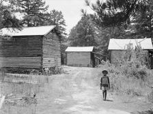 Tobacco barns on the Stone place, Upchurch, North Carolina, 1939. Creator: Dorothea Lange