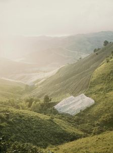Tobacco country, vicinity of Barranquitas, Puerto Rico, 1941. Creator: Jack Delano