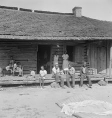 Tobacco farms, like Southern cotton farms, carry a heavy surplus..., near Tifton, Georgia, 1938. Creator: Dorothea Lange