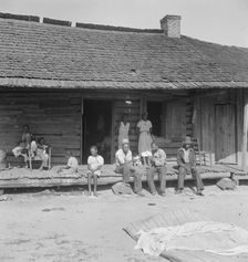 Tobacco farms, like Southern cotton farms, carry a heavy surplus..., near Tifton, Georgia, 1938. Creator: Dorothea Lange