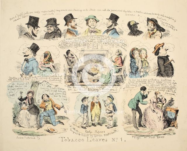 Tobacco Leaves No. 1, pub. 1851 (hand coloured engraving)