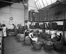Tobacco leaf-picking in the Turkish leaf room, Teafani & Co Works, Brixton, London, 1916. Artist: Bedford Lemere and Company