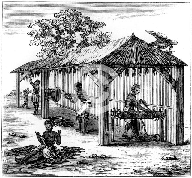 Tobacco preparation, 1873. Artist: Unknown