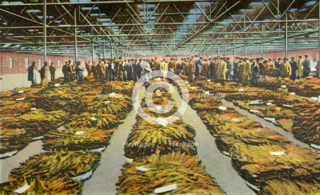 'Tobacco Sale, an ever interesting Scene', 1942. Creator: Unknown.