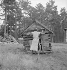 Tobacco sharecropper's daughter getting eggs..., Person County, North Carolina, 1939. Creator: Dorothea Lange