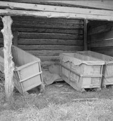 Tobacco sleds newly covered with tow sacks, ready for...tobacco, Person County, North Carolina, 1939 Creator: Dorothea Lange