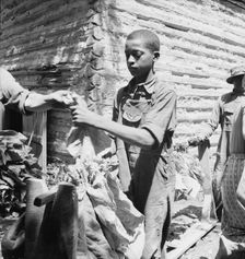 Tobacco strung on sticks, Granville County, North Carolina, 1939. Creator: Dorothea Lange