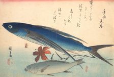 Tobiuo and Ishimochi Fish, from the series Uozukushi (Every Variety of Fish), 1840s., 1840s. Creator: Ando Hiroshige