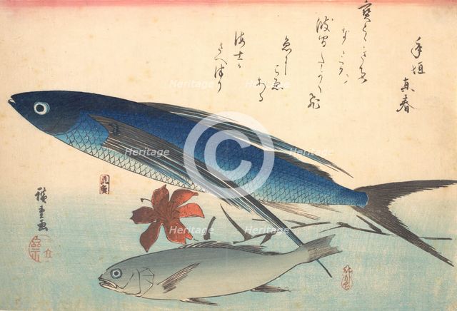 Tobiuo and Ishimochi Fish, from the series Uozukushi (Every Variety of Fish), 1840s., 1840s. Creator: Ando Hiroshige.