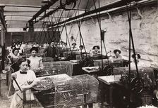 Toffee wrapping machines, Mackintosh factory, Halifax, West Yorkshire, 1912