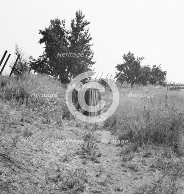 Toilets provided for hop pickers in grower's camp, near Grants Pass, Oregon, 1939. Creator: Dorothea Lange.