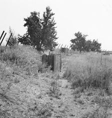 Toilets provided for hop pickers in grower's camp, near Grants Pass, Oregon, 1939. Creator: Dorothea Lange