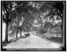Toll gate, Bay Shell Road, Mobile, Ala., c1901. Creator: Unknown