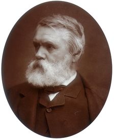 Tom Taylor, dramatist and critic, 1881. Creator: Lock & Whitfield