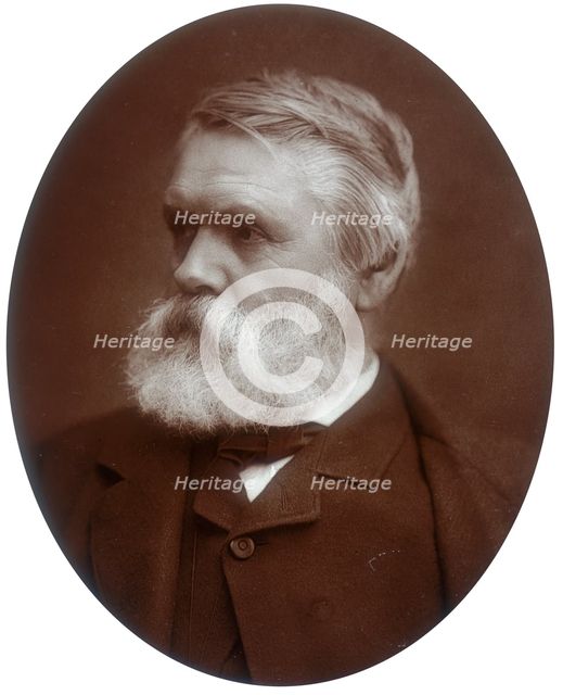 Tom Taylor, dramatist and critic, 1881. Creator: Lock & Whitfield.