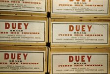 Tomato crates at the Yauco cooperative tomato growers association, Puerto Rico, 1942. Creator: Jack Delano