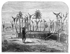 Tomb of Voupilal, a Looshai chief, 1872. Creator: Unknown