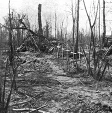 'Tombes de soldats dans le bois d'Avocourt 1916. Creator: Unknown