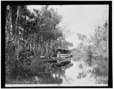 Tomoka landing, Fla., c1900. Creator: Unknown