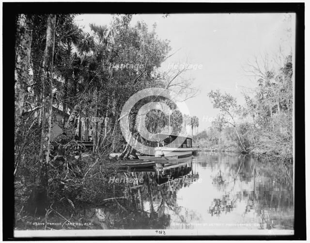 Tomoka landing, Fla., c1900. Creator: Unknown.