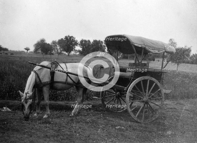 Tonga (horse cart), Muttra, India, 1917. Artist: Unknown