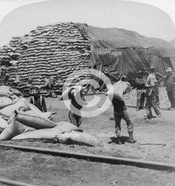 'Tons upon tons of oats for Tommy's faithful friend', De Aar, South Africa, Boer War, 1900.Artist: Underwood & Underwood