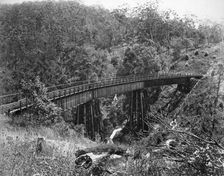 Toowoomba Range near Highfields, c1894. Creator: Poul C Poulsen
