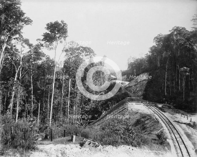 Toowoomba Range New Track, c1894. Creator: Poul C Poulsen.