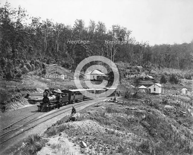 Toowoomba Range Spring Bluff, c1891. Creator: Poul C Poulsen.