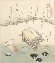 Top-Shell and Various Shells, 19th century. Creator: Totoya Hokkei