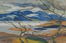 Torne Marsh in Spring, late 19th-early 20th century. Creator: Helmer Osslund