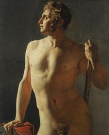Torso