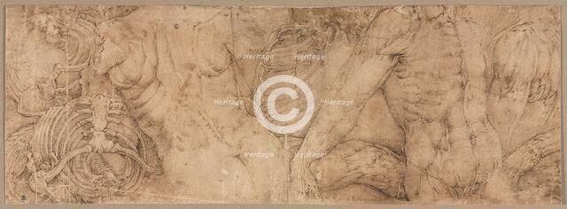 Torsos with Rib Cages, early 1540s. Creator: Battista Franco (Italian, c. 1510-1561).