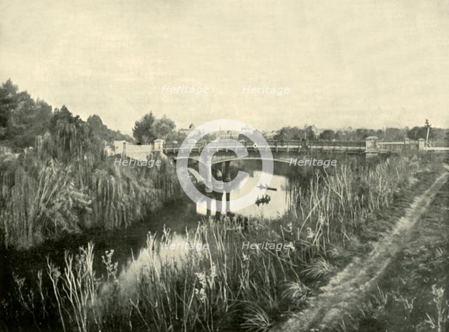 'Torrens Lake, Adelaide', 1901. Creator: Unknown.