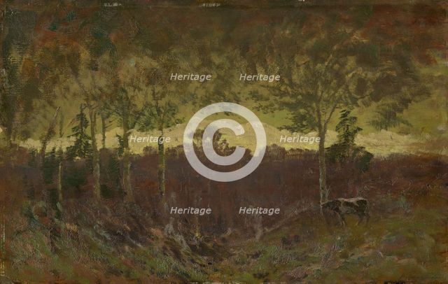 Tatras landscape, early evening, after 1900. Creator: Ferdinand Katona.