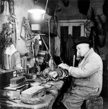 Taxidermist, London, 1951. Creator: Henry Grant