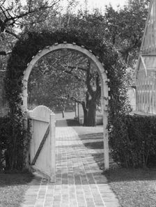 Taylor, Myron C., Mr., residence and grounds, Locust Valley, Long Island, New York, 1928 Nov. Creator: Arnold Genthe