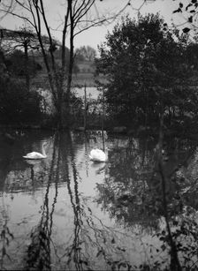Taylor, Myron C., Mr., residence and grounds, Locust Valley, Long Island, New York, 1928 Nov. Creator: Arnold Genthe