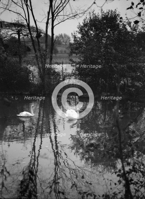 Taylor, Myron C., Mr., residence and grounds, Locust Valley, Long Island, New York, 1928 Nov. Creator: Arnold Genthe.