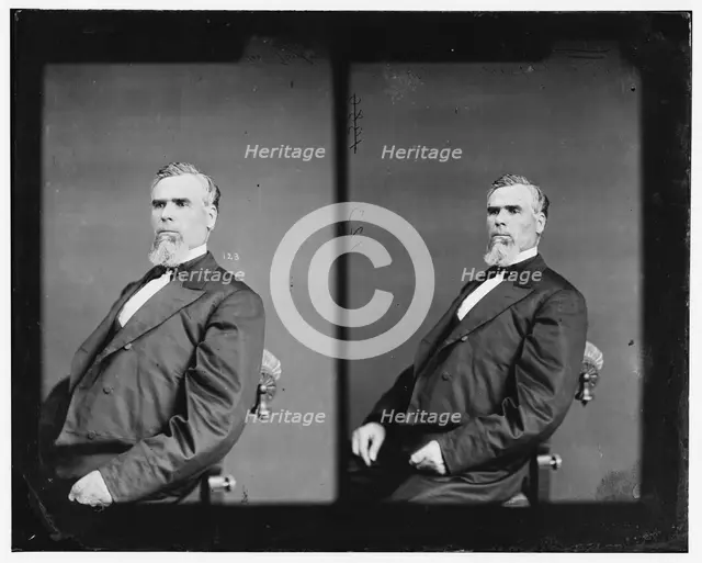 Taylor, Governor of Georgia, between 1865 and 1880. Creator: Unknown.