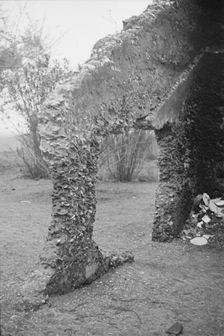Tabby construction, ruins of supposed Spanish mission, St. Marys, Georgia, 1936. Creator: Walker Evans