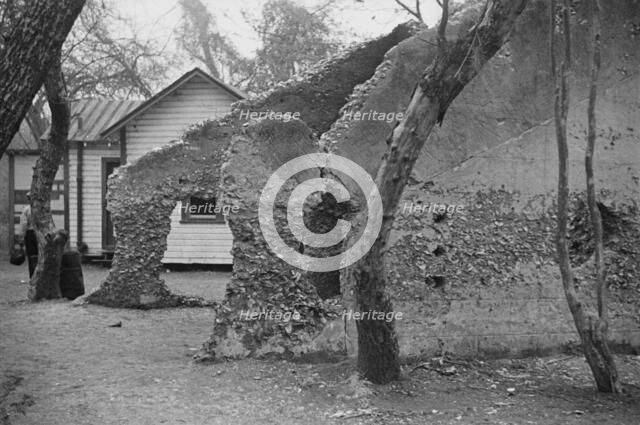 Tabby construction, ruins of supposed Spanish mission, St. Marys, Georgia, 1936. Creator: Walker Evans.