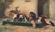 Table d'Hote at a Dogs Home 1880, (c1902). Creator: Unknown