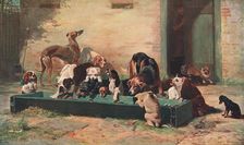 Table d'Hote at a Dogs Home 1880, (c1902). Creator: Unknown