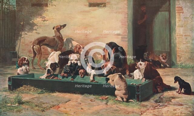 'Table d'Hote at a Dogs' Home', 1880, (c1902).  Creator: Unknown.