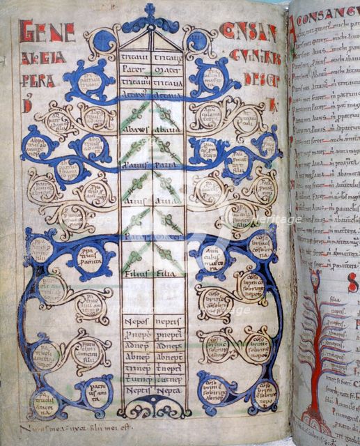 Table of the degrees of Consanguinity, a page from "Liber Floridus", 12th century.   Creator: Unknown.