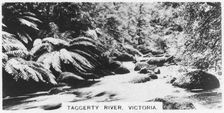Taggerty River, Victoria, Australia, 1928
