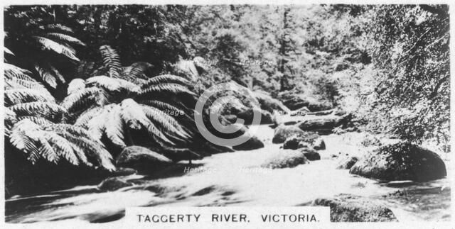 Taggerty River, Victoria, Australia, 1928. Artist: Unknown